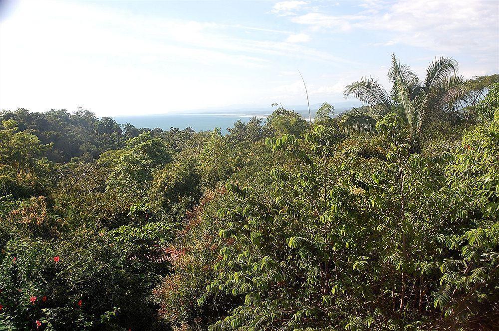 Hotel California Manuel Antonio Exterior photo